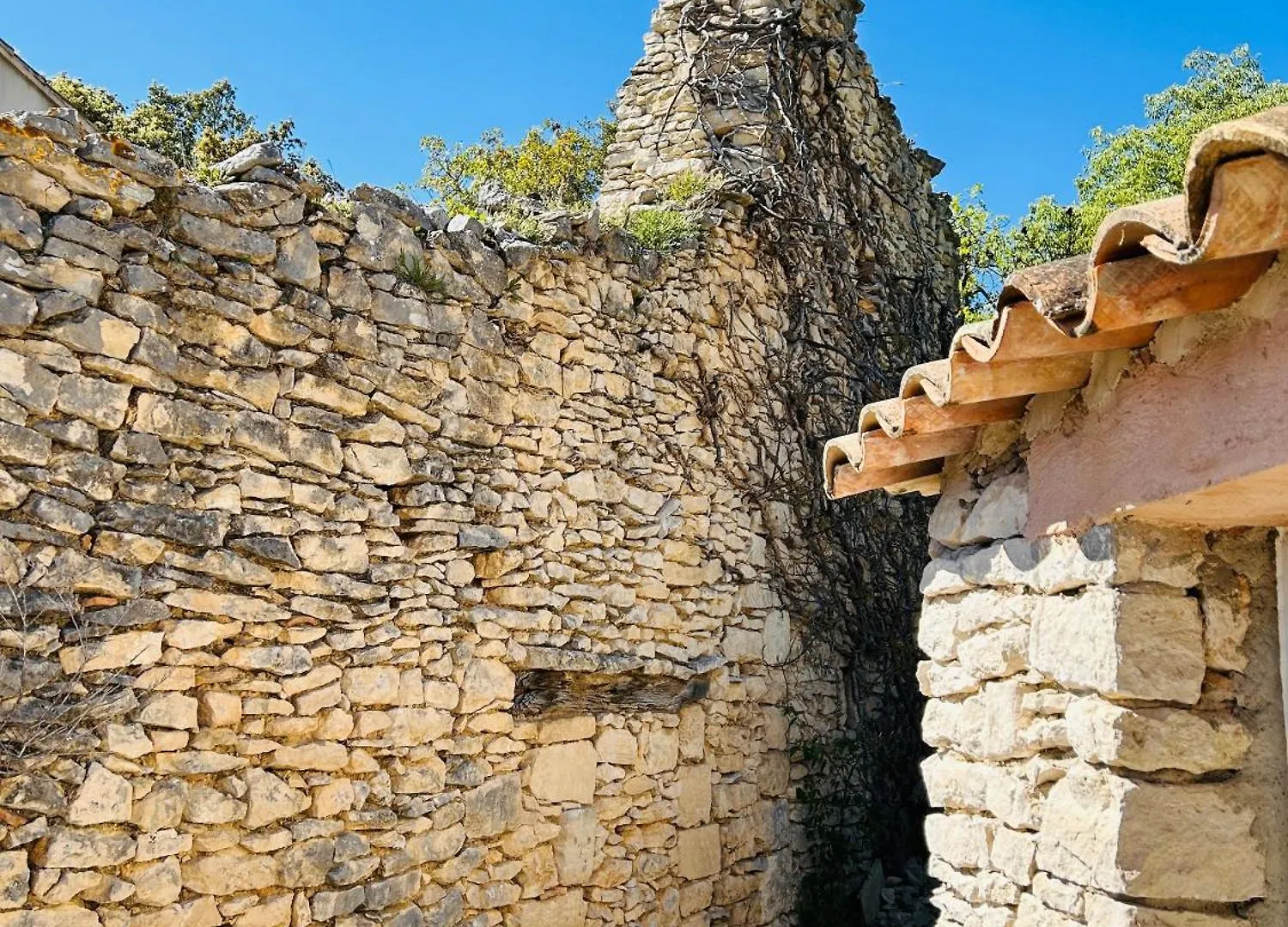 Maison Joucas 0*,  France